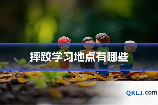 摔跤学习地点有哪些