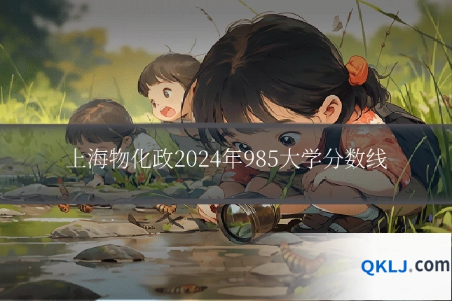 上海物化政2024年985大学分数线