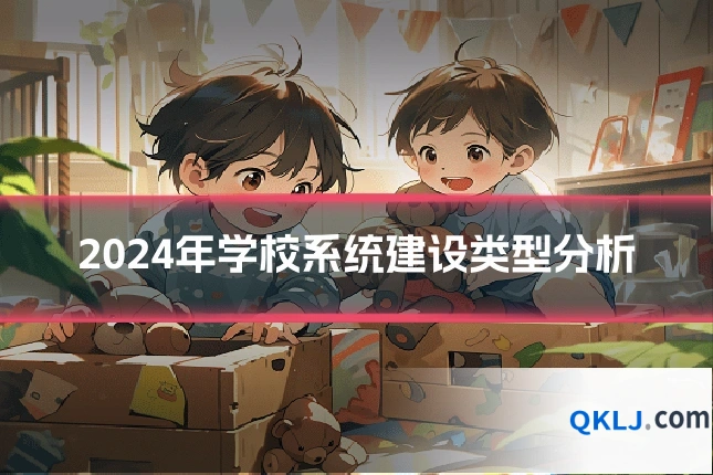 2024年学校系统建设类型分析