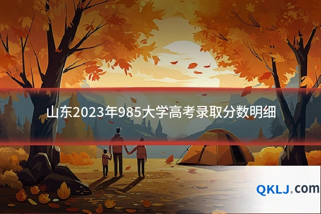 山东2023年985大学高考录取分数明细