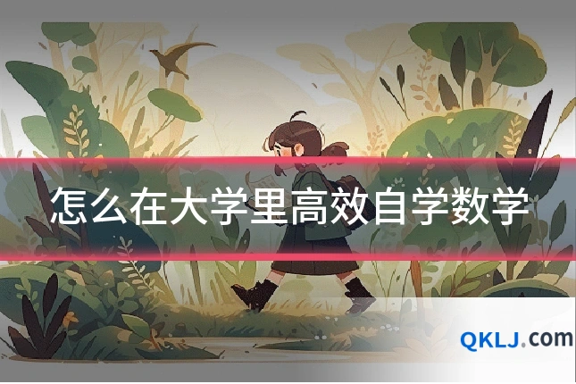 怎么在大学里高效自学数学
