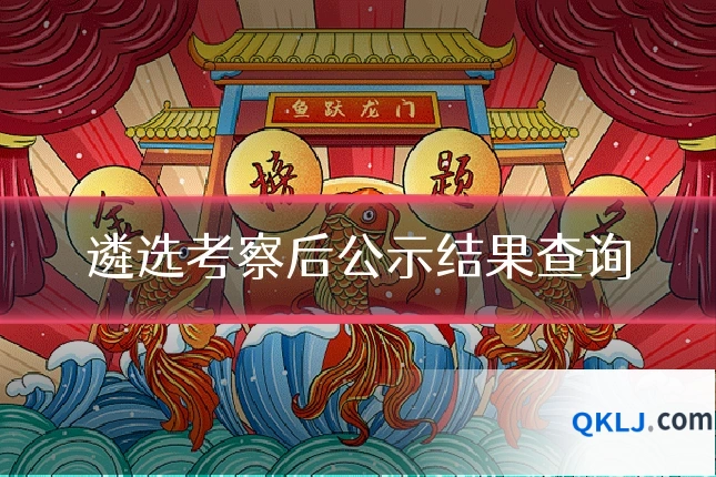 遴选考察后公示结果查询