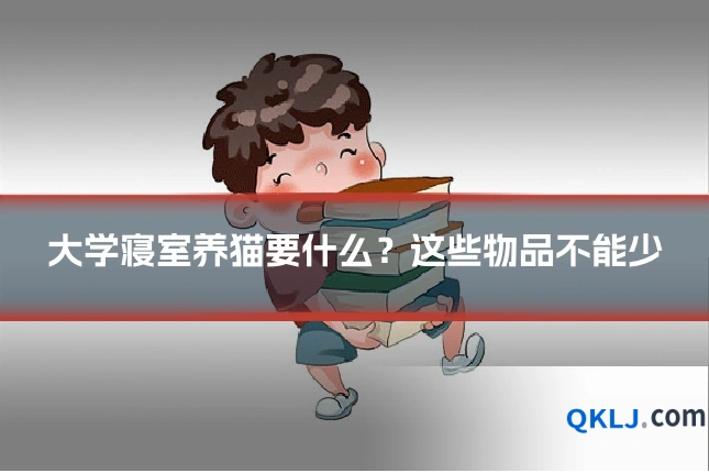 大学寝室养猫要什么？这些物品不能少