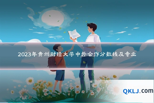 2023年贵州财经大学中外合作分数线及专业