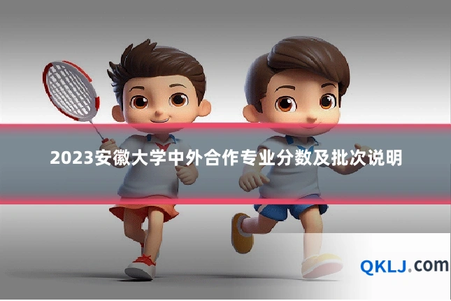 2023安徽大学中外合作专业分数及批次说明