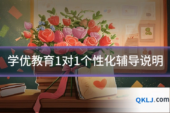 学优教育1对1个性化辅导说明