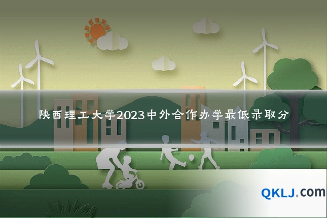 陕西理工大学2023中外合作办学最低录取分