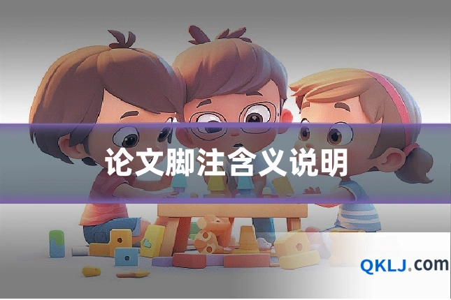 论文脚注含义说明