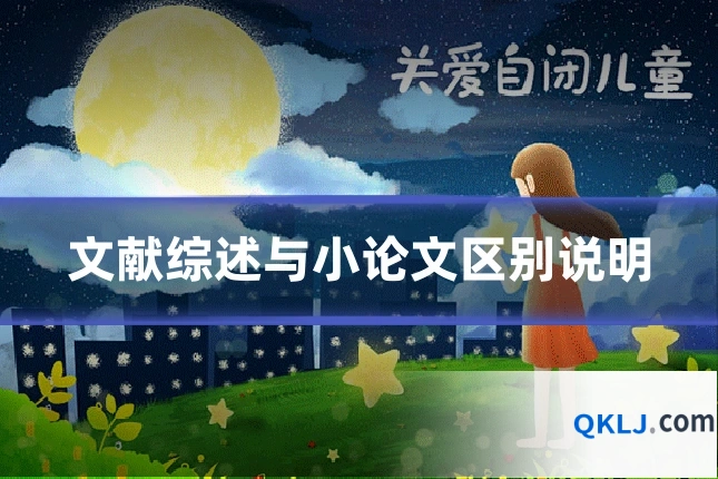 文献综述与小论文区别说明