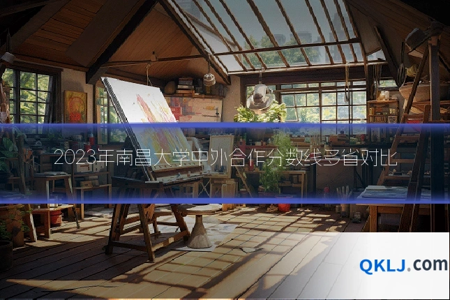 2023年南昌大学中外合作分数线多省对比
