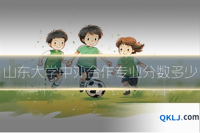 山东大学中外合作专业分数多少