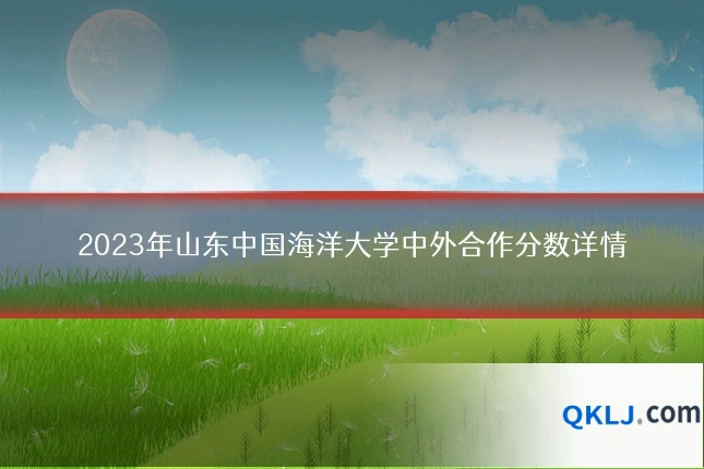 2023年山东中国海洋大学中外合作分数详情