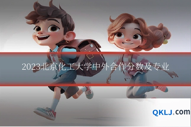 2023北京化工大学中外合作分数及专业