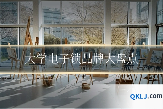 大学电子锁品牌大盘点
