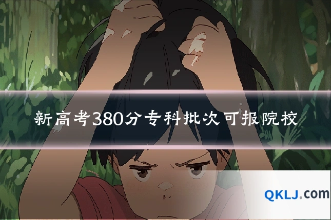 新高考380分专科批次可报院校