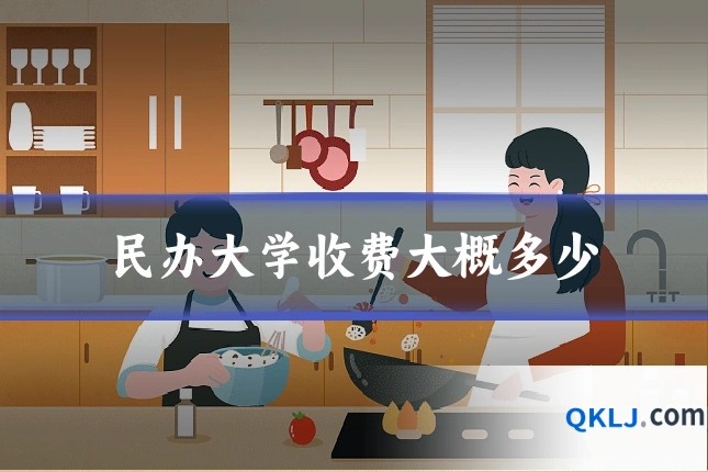 民办大学收费大概多少
