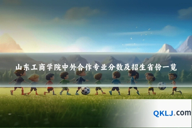 山东工商学院中外合作专业分数及招生省份一览