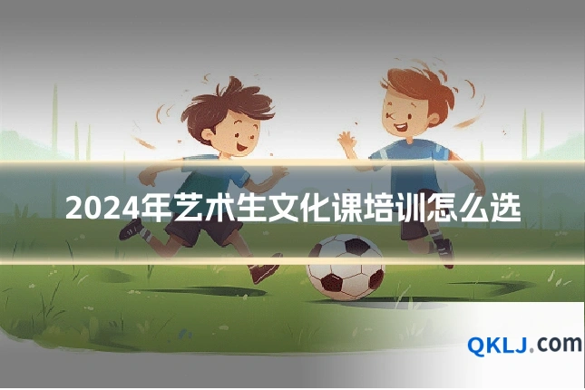 2024年艺术生文化课培训怎么选