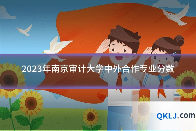 2023年南京审计大学中外合作专业分数