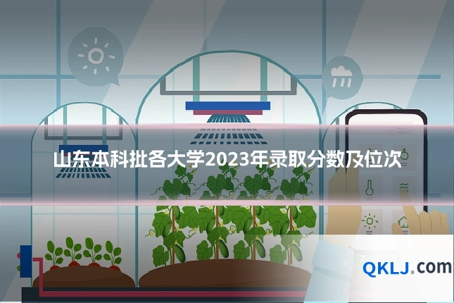 山东本科批各大学2023年录取分数及位次