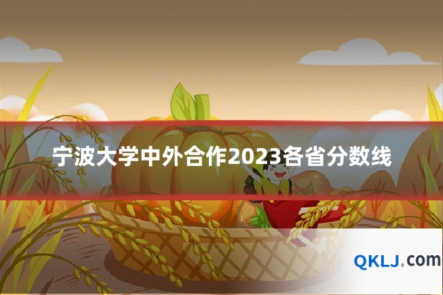 宁波大学中外合作2023各省分数线