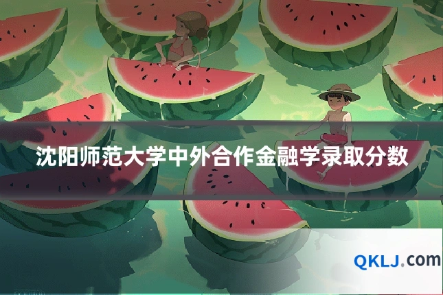 沈阳师范大学中外合作金融学录取分数