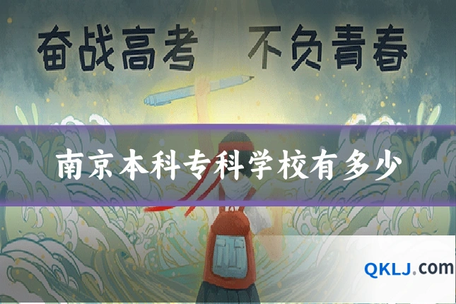 南京本科专科学校有多少