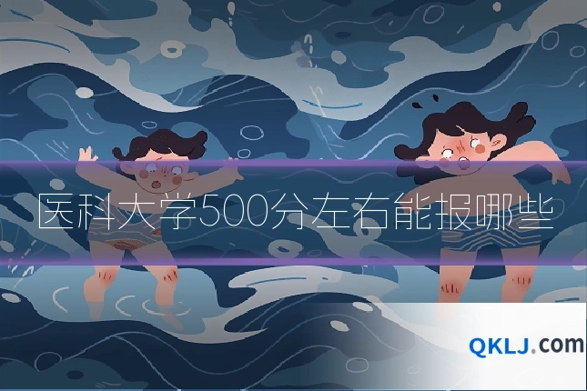 医科大学500分左右能报哪些
