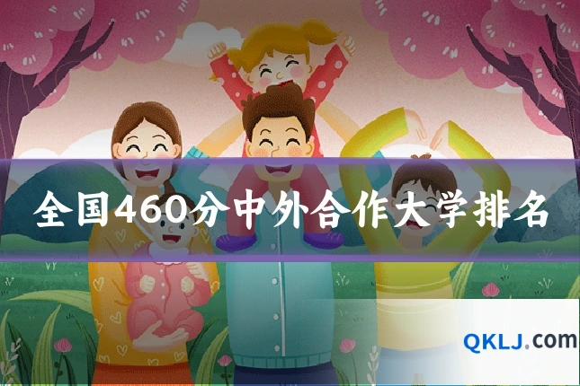 全国460分中外合作大学排名