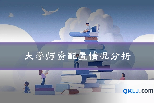 大学师资配置情况分析