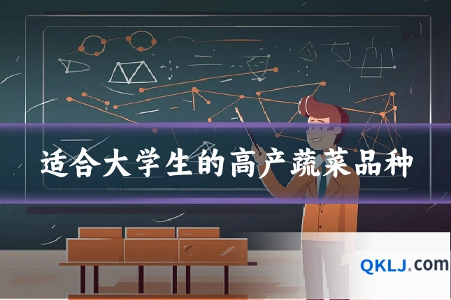 适合大学生的高产蔬菜品种