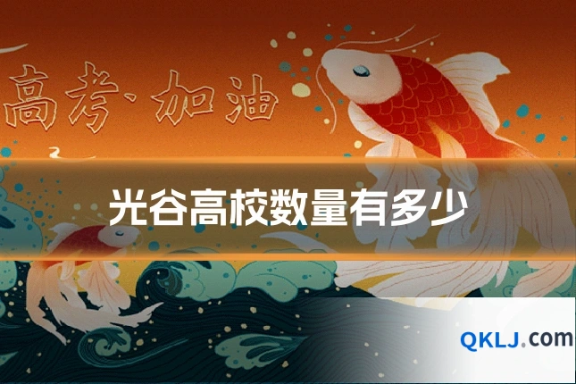 光谷高校数量有多少