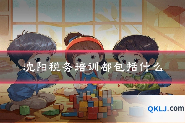 沈阳税务培训都包括什么