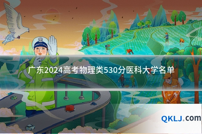 广东2024高考物理类530分医科大学名单