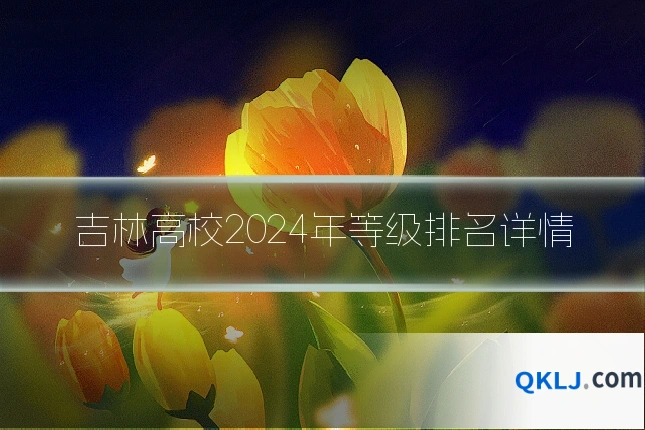 吉林高校2024年等级排名详情