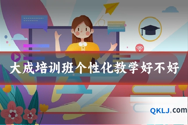 大成培训班个性化教学好不好