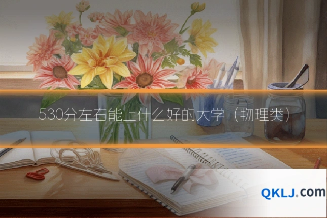 530分左右能上什么好的大学(物理类)