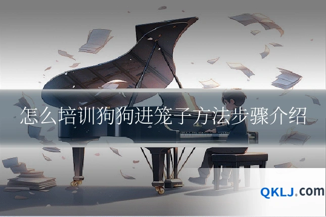 怎么培训狗狗进笼子方法步骤介绍