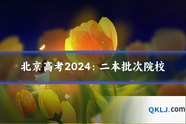 北京高考2024:二本批次院校