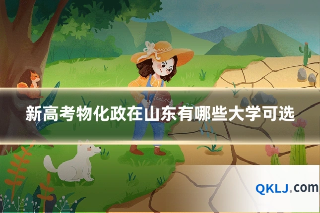新高考物化政在山东有哪些大学可选