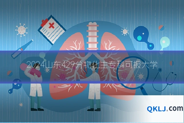 2024山东429分物化生专科可报大学