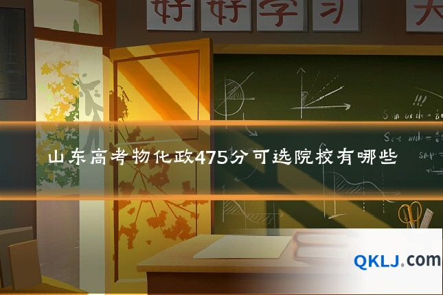 山东高考物化政475分可选院校有哪些