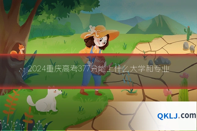2024重庆高考377分能上什么大学和专业