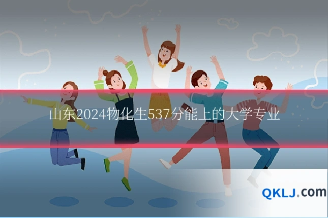 山东2024物化生537分能上的大学专业