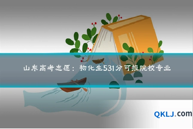 山东高考志愿:物化生531分可报院校专业