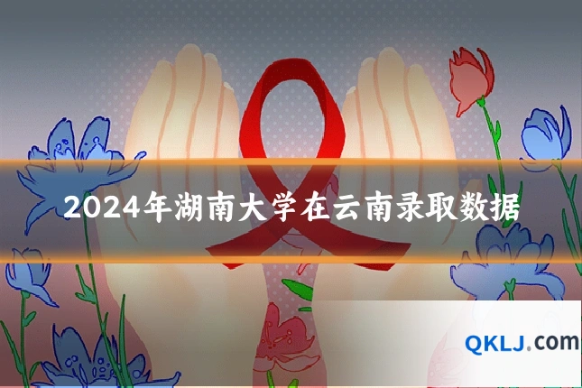 2024年湖南大学在云南录取数据