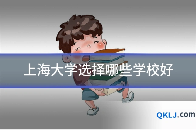 上海大学选择哪些学校好