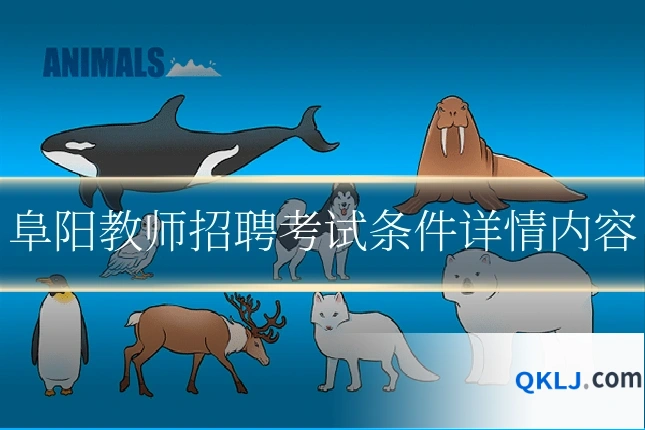 阜阳教师招聘考试条件详情内容