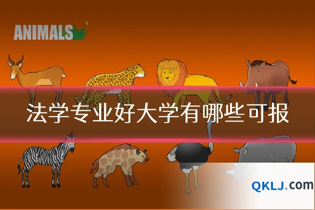 法学专业好大学有哪些可报