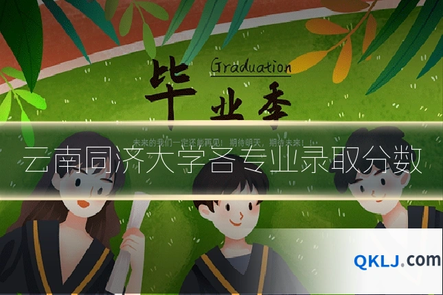 云南同济大学各专业录取分数